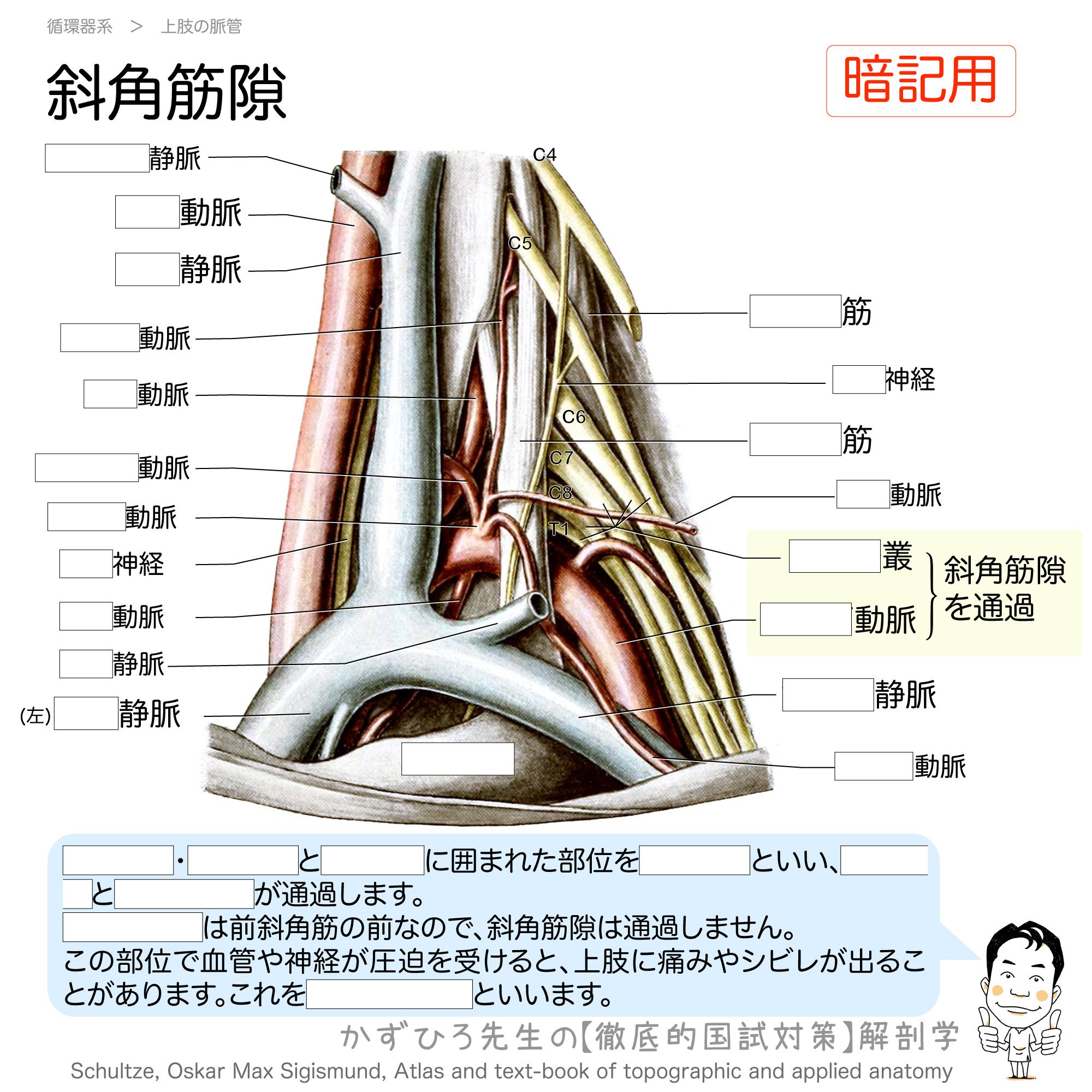 黒澤一弘（かずひろ）解剖学IT教育・指圧師・ラダック on X