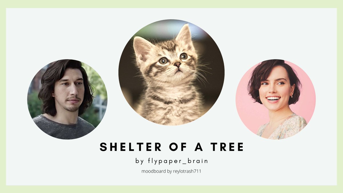 shelter of a tree by  @flypaper_brain (T)Leia sends Ben to the local animal shelter with a donation; Rey is the volunteer. @persimonne666 says "The most heartwarming story! Ben falls in love with Rey the second he sees her and he learns how to cat <3" https://archiveofourown.org/works/15740394&nbsp;
