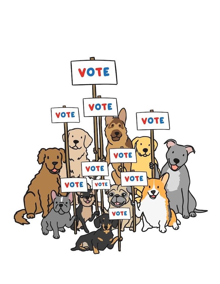 BFBiscuitsSC's tweet photo. GO VOTE!! Exercise your right to vote not only for you but for generations to come! 💕🗳🐶 #yeahTHATgreenville #ElectionDay #BlackOwnedBusiness #dogsoftwitter #etsyshop 

https://t.co/ehlqeABNYR https://t.co/hmmVjGxAIV