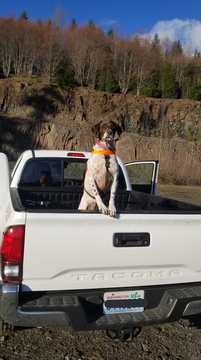 Mariah_Potts's tweet photo. On a more important note: It's my sweet Roxy girls BIRTHDAY TODAY 😭😭😭❤❤❤❤❤❤ Love my little hunter, snuggler, side kick more than anything! https://t.co/r17WJsDRpO