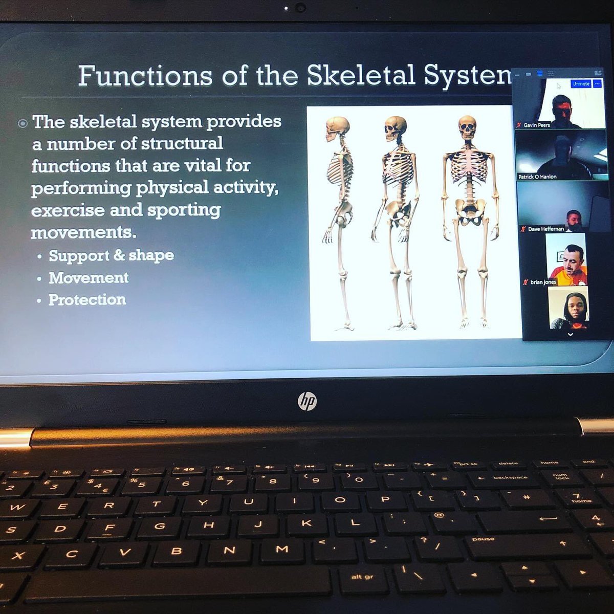 FTallaght's tweet photo. All our trainees busy learning during lockdown. #lockdownlearning #onlinelearning #educationiskey #sportsdevelopmentandcoaching #fai #level5 #football https://t.co/jadTJUcgmr