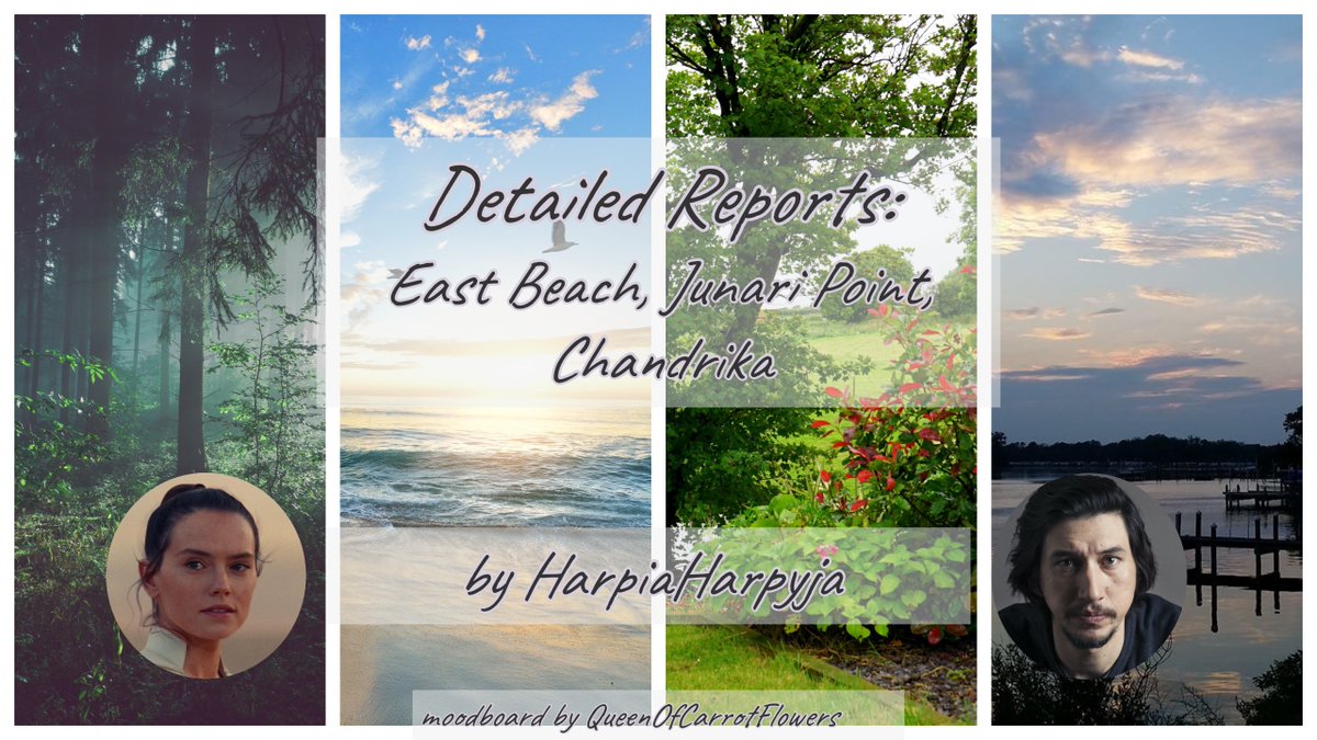 Detailed Reports by  @thisgarbagepic1 (E)Ben keeps detailed reports rating all the places he and Rey have had sex.  @spacewafflehou1 says "nerd ben at his god damn peak. Ben is hilarious and Rey’s reactions to his shenanigans are precious" https://archiveofourown.org/works/14079969&nbsp;