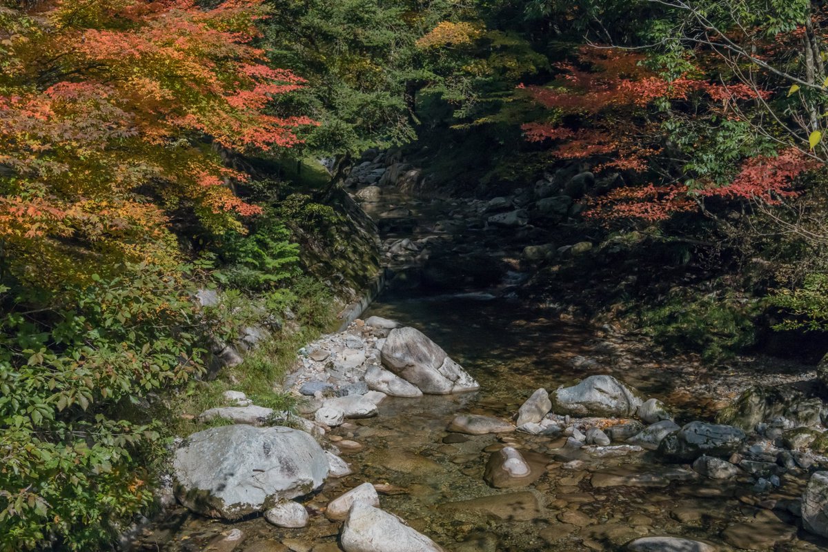 Hanihanistar 寂地峡の紅葉 お写んぽ Photobomb 写真好きな人と繋がりたい ファインダー越しの私の世界 写真の奏でる私の世界 Rtお願いします 紅葉 もみじ Leaf 寂地峡