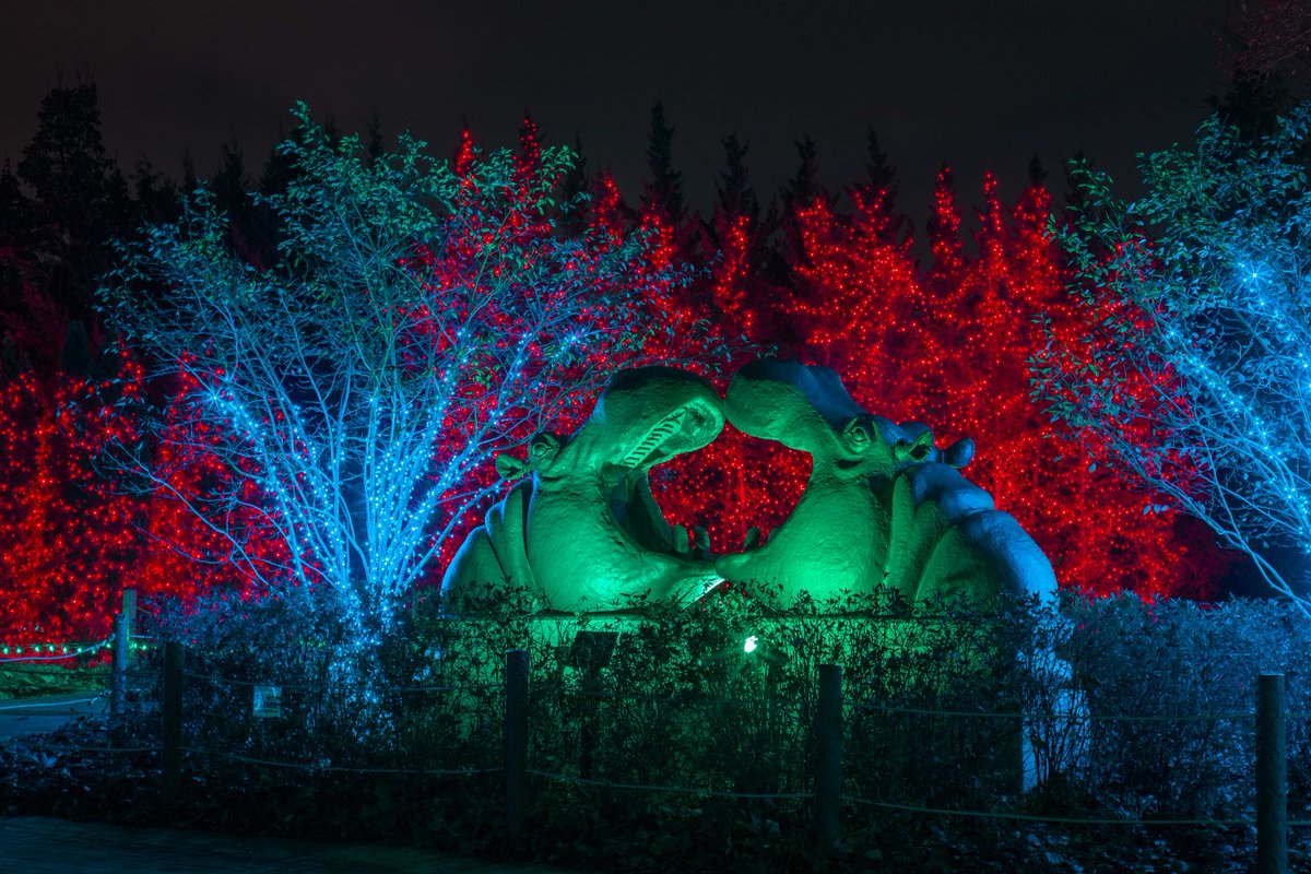 ToledoZoo's tweet photo. Join Young Professionals for Animals and Conservation for the YPAC Holiday Howler on Wednesday, December 2 from 5:30- 7:30pm☃️
#ToledoZoo #ToledoNetworking #YoungProfessionals #YoPros #ToledoOhio #HolidayEvents #YPAC
Learn more and register at https://t.co/7HSBMr8UlK! https://t.co/yxHk7rvvmN