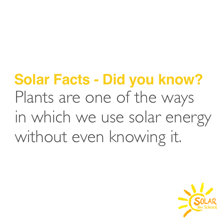 #SolarMySchool #SolarMyWorld #Solar #NonProfit #SolarPower #RenewableEnergy #Education #BecauseOurSunShinesDownOnEveryone