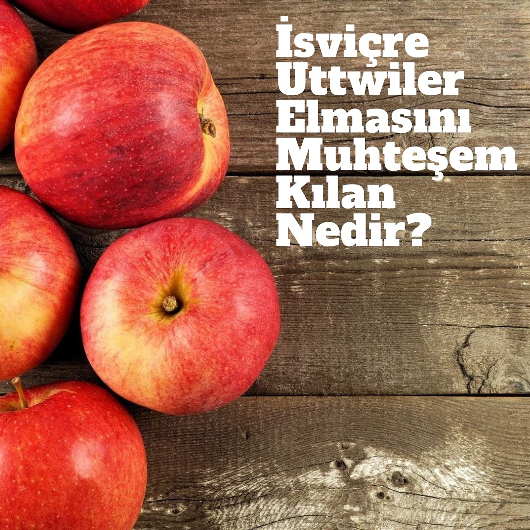İsviçre'de yetiştirilen uttwiler spatlauber elması,uzun süre taze kalmasıyla dikkat çekmiştir.Güneşin zararlı ışınlarının etkilerine karşı savaşmak için kullanılabilen bu elma 4 ay boyunca çürümeden taze kalabilen yapısıyla bilinmektedir. 
#uttwilerelması #uttwiler #bedeninibesle
