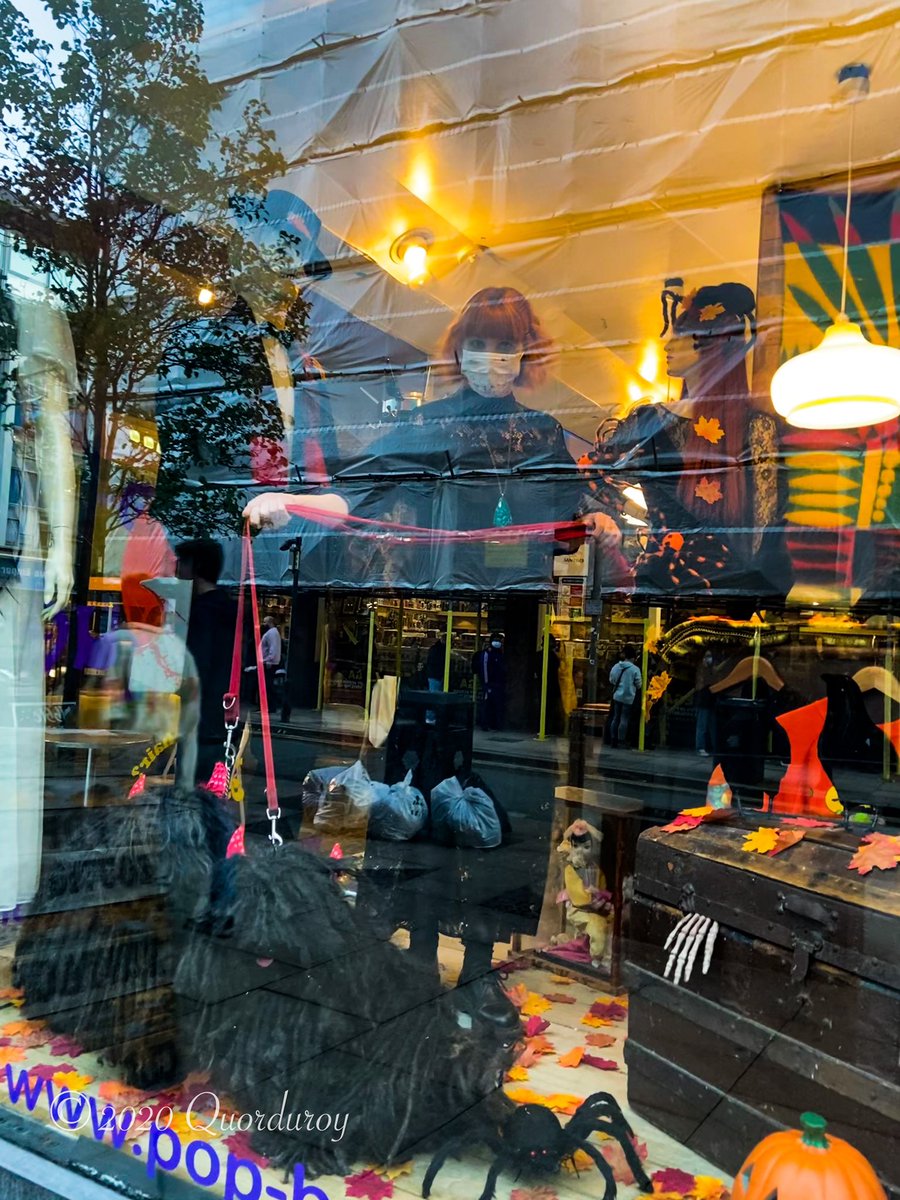ZebPuliZeb's tweet photo. Late post. Had a meeting. Decided that, to beat them, infiltrate and get them from inside. #beat the #mcrhalloween Monsters #TongueOutTuesday
Day 215 of #SocialDistancingMops #HalloweenPart4
🐾❤️🐾
#McrMonsters #HalloweenMcr #NorthernQuarter #HungarianPuli #Puli #Manchester https://t.co/2LdYyv6yMj