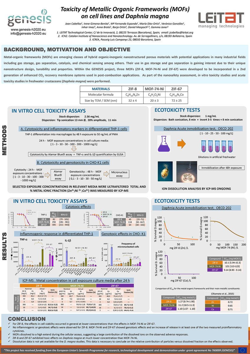 GENESIS_H2020's tweet photo. Check out our poster presented an #Nanosafe2020 #Conference 

#Toxicity of Metal Organic Frameworks (#MOFs) on cell lines and Daphnia magna

#nanosafety #nanomaterials #H2020 

More publications here: https://t.co/UfadFN0R9N https://t.co/fgWtG2o9sm
