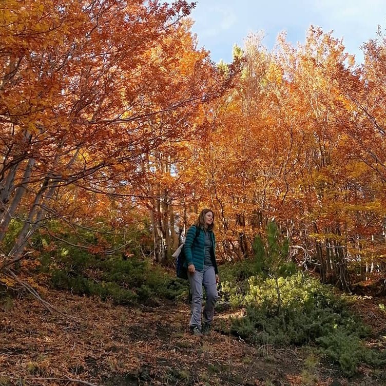 TrailsOfSicily's tweet photo. Nature needs #nofilter

🌍 Etna Nord
📅 November 2020
🇬🇧 https://t.co/MaYnp8swyN
🇵🇱 https://t.co/ud758aQKfo 
#️⃣ #trailsofsicily
#️⃣ #szlakamisycylli
🔵 https://t.co/6ATmIdFZJw

#etna #timparossa #hikingday #etnanord  #outdoorswoman #localguide #Autumnwatch #Sicilia #etnavolcano https://t.co/ZT1kgEFPq0