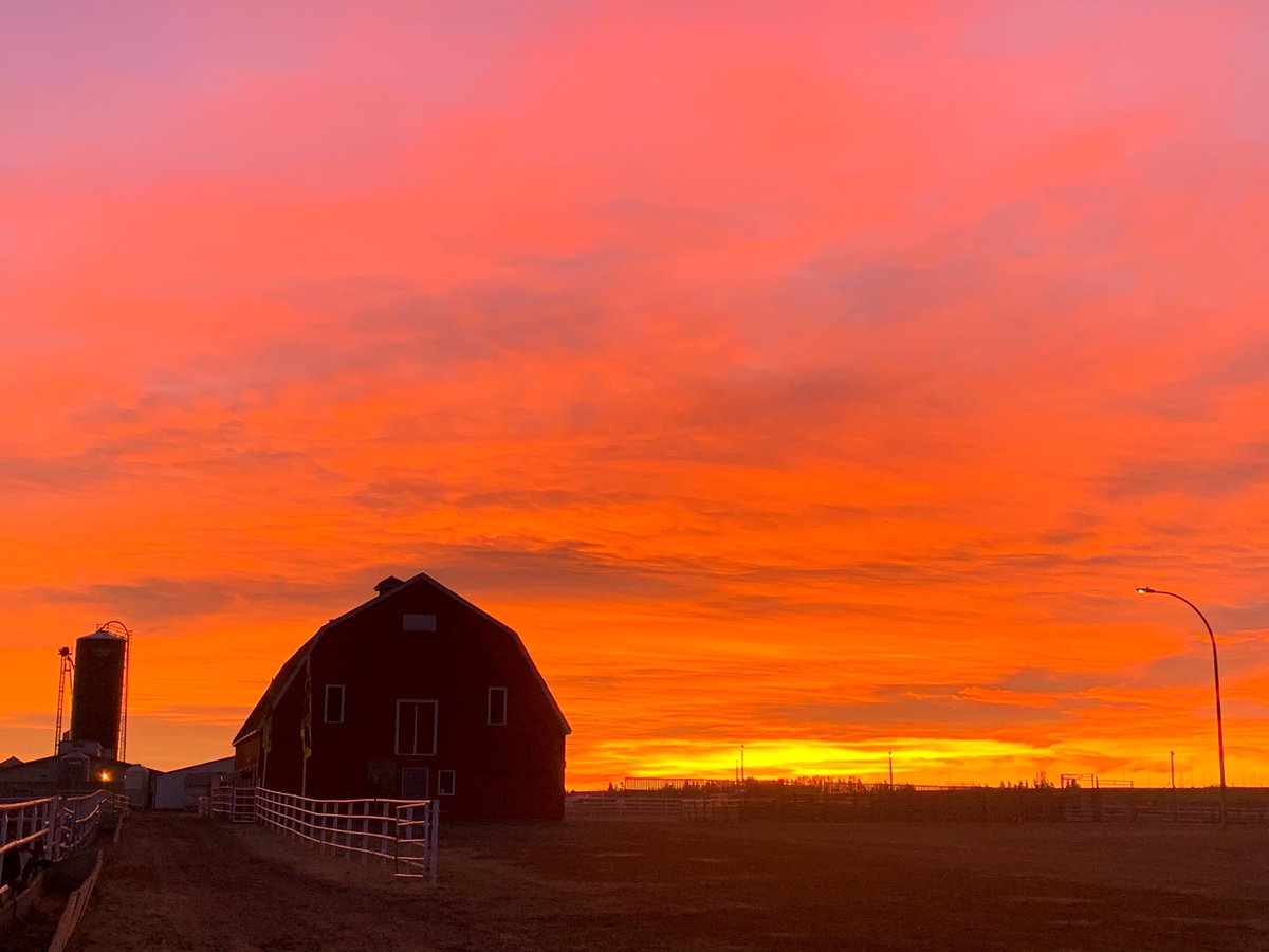 adellegervin's tweet photo. Beautiful sunrise this morning on campus! https://t.co/NtgeYNGZzN