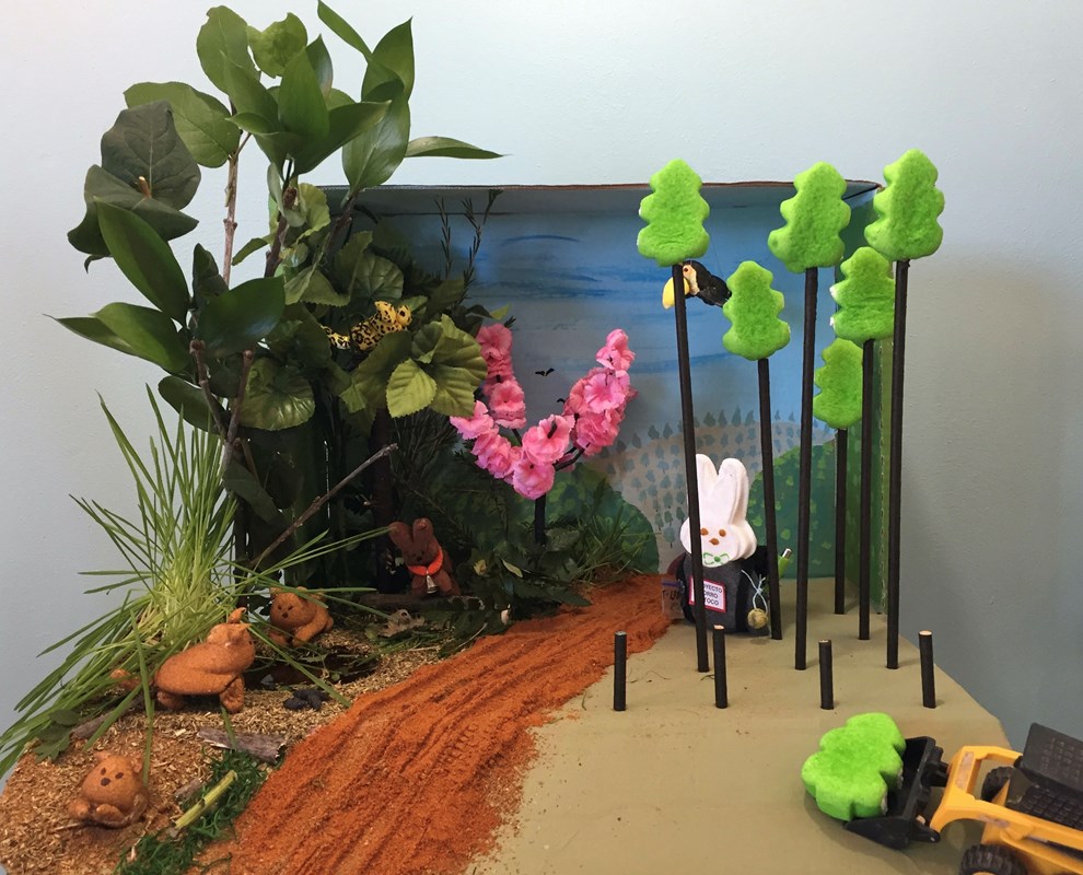 This one has everything. Dogs. Poop. Peeps.  #PeepYourScience  https://www.theopennotebook.com/2020/04/13/now-peep-this-announcing-the-winners-of-peepyourscience-2020/