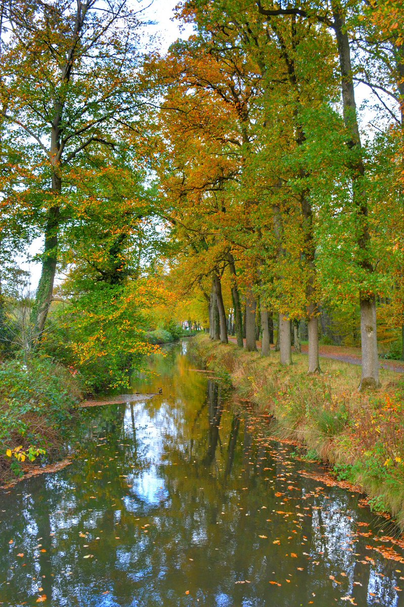 OnzeVeluwe's tweet photo. Landgoed Bonenburg in Heerde. Foto: #FotografieRickWesterink https://t.co/yWvPYGZFdh