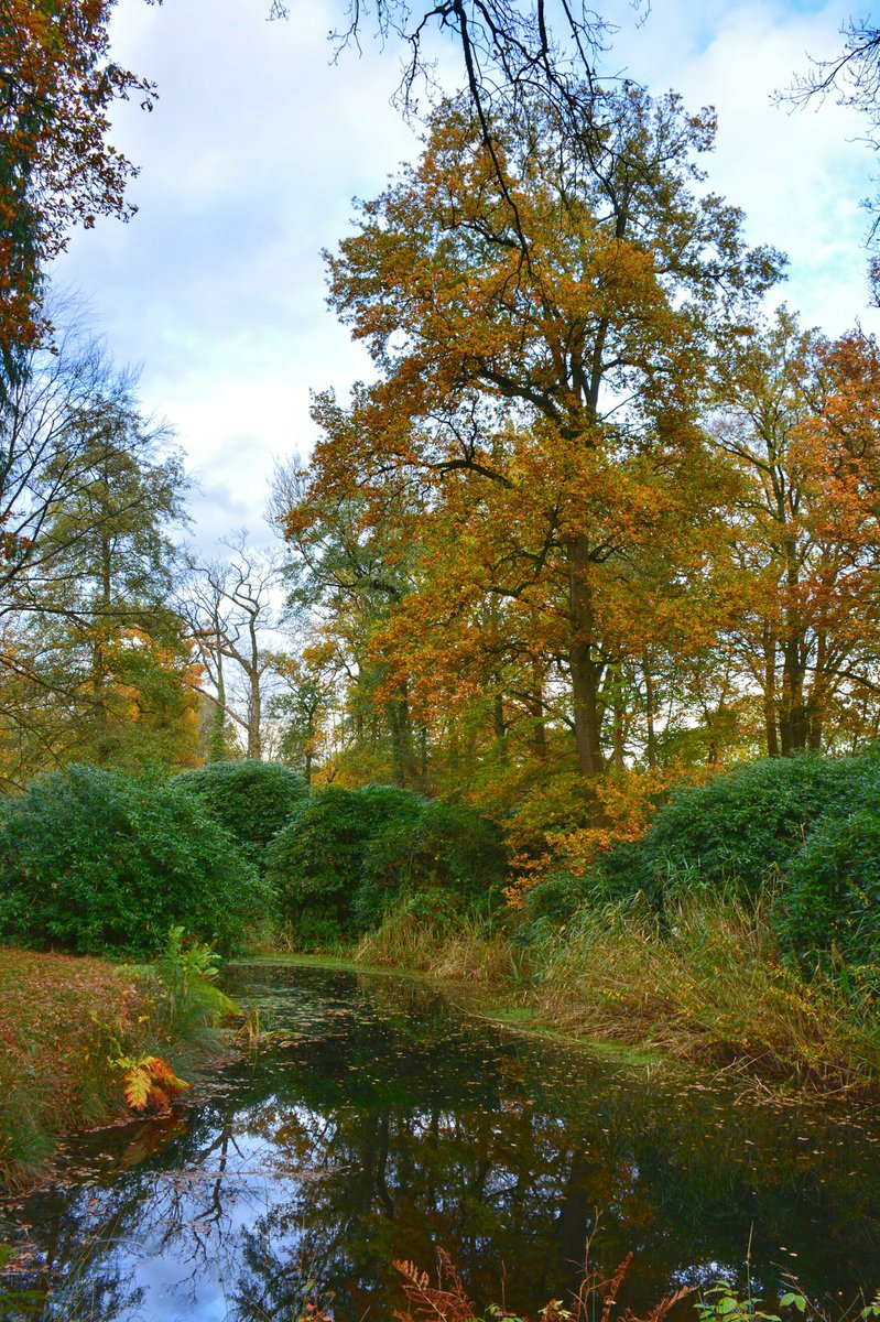 OnzeVeluwe's tweet photo. Landgoed Bonenburg in Heerde. Foto: #FotografieRickWesterink https://t.co/yWvPYGZFdh