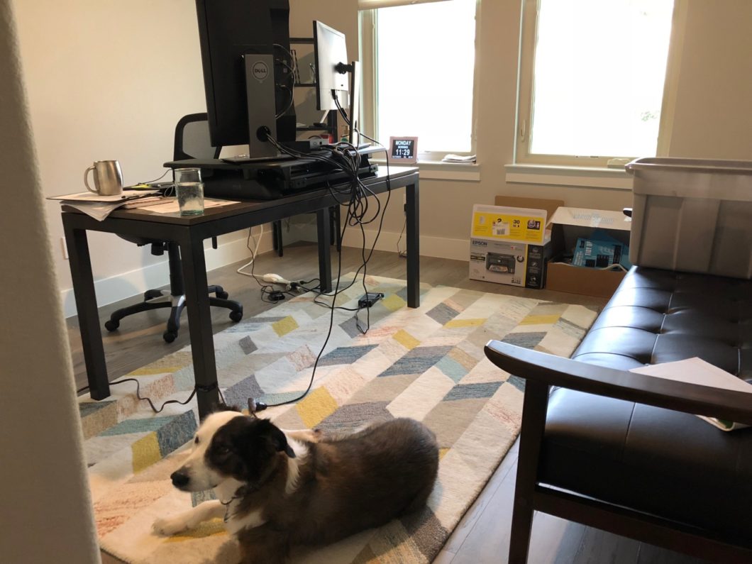 We can only assume that  @meghas dog is named Very Good Boy who likes walks  https://www.theopennotebook.com/2018/11/13/a-day-in-the-life-of-megha-satyanarayana/