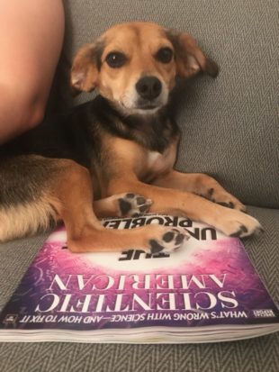 In which we learn that Ada is a big fan of  @sciam. And  @shanpalus is pretty cool, too  https://www.theopennotebook.com/2018/10/16/a-day-in-the-life-of-shannon-palus/