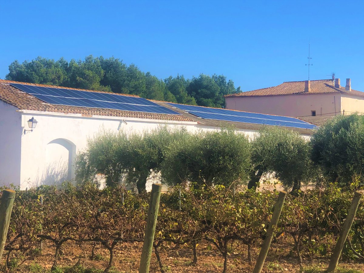 OriolRossell's tweet photo. A Cal Cassanyes apostem per l'energia neta i renovable. Hem instal·lat plaques solars al celler per fer un pas més en l'ús responsable i conscient dels recursos i per la cura del medi ambient. 🌞

#cavaoriolrossell #plaquessolars #enoturismepenedes https://t.co/v8gdmcWXuN