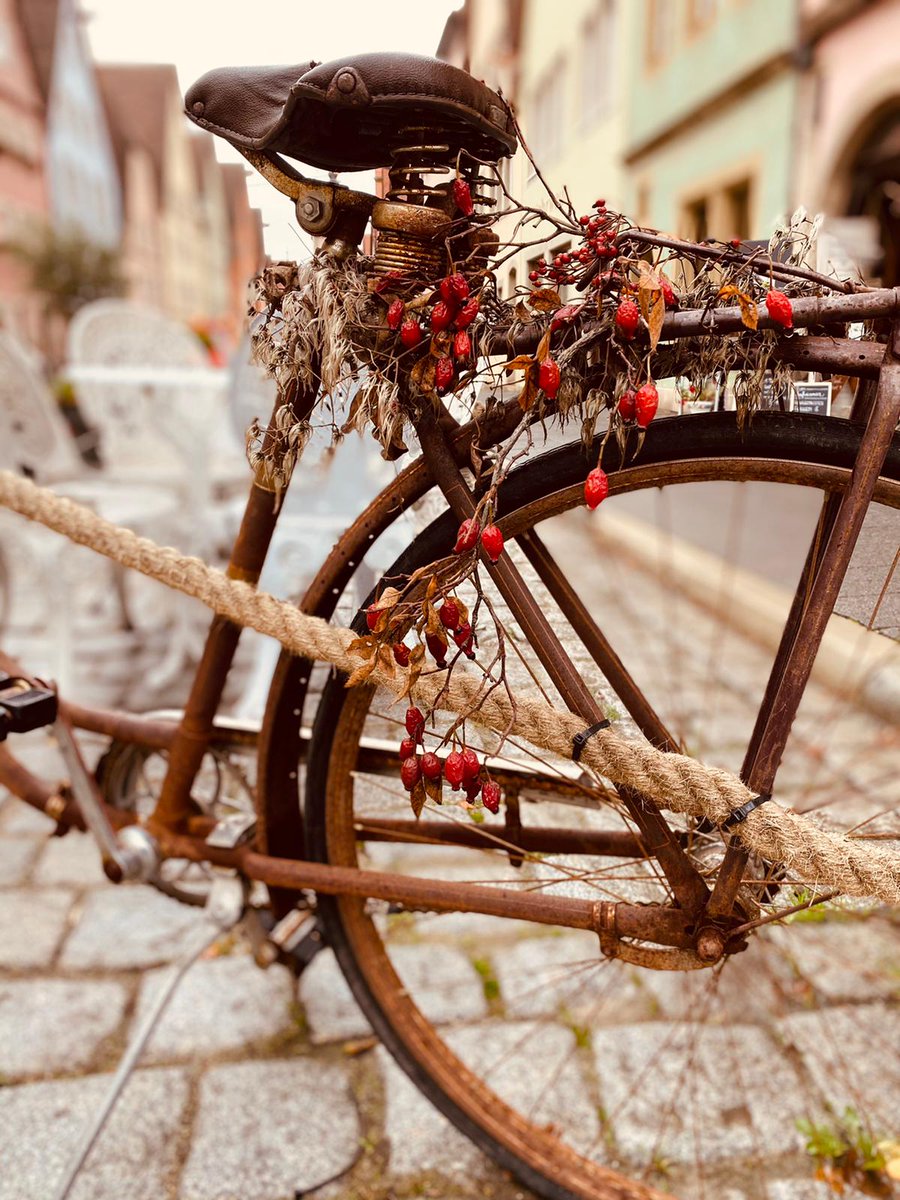 minti42's tweet photo. Fazit Rothenburg ob der Tauber: Kopfsteinpflaster und Fachwerkhäuschen im Überfluss. So hübsch, kaum auszuhalten. Ganz herzallerliebst. Zum Radfahren nur bedingt geeignet. Wissen die dort aber scheinbar selbst schon und man hat sich wohl damit arrangiert... https://t.co/N1UaDXAmAN