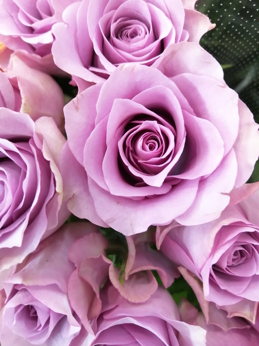 美ら花 薔薇 ナイチンゲール こんばんは 薔薇を見ます 白衣の天使の由来に 天使とは 美しい花を振り撒く者ではなく 苦悩する者のために 戦う者のことである いつも薔薇を見ていただく方の中に 多くの天使さんいること知っています いつもありがとう 美ら花 薔薇 ナイチンゲール こんばんは 薔薇を見ます 白衣の天使の由来に 天使とは 美しい花を振り撒く者ではなく 苦悩する者のために 戦う者のことである いつも薔薇を見ていただく方の中に 多くの天使さんいること知っています いつもありがとう