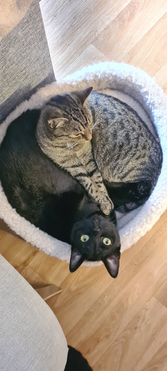 StrahlTimo's tweet image. Gesucht und Gefunden.  🥰