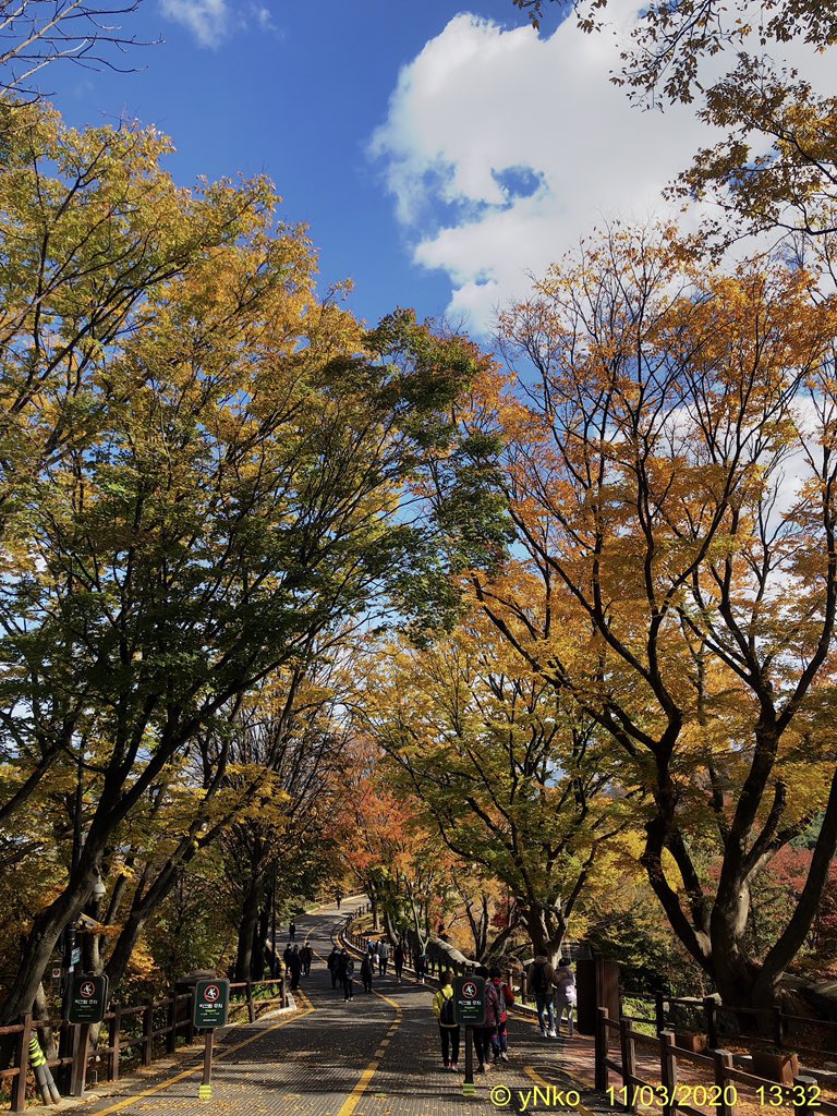 고영남 tweet media