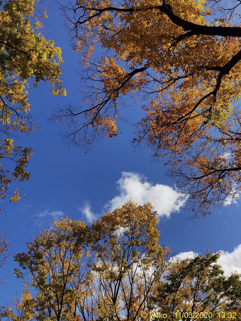 고영남 tweet media