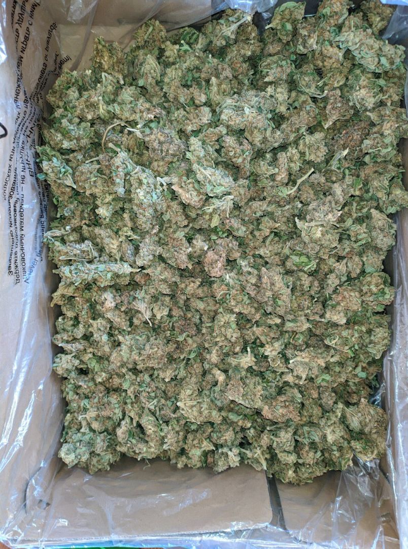 Weedman66251952's tweet photo. Légaliser la Weed 🍁
🌿👇Livraison à domicile
Snap👻: rraoul3833
Télégram :https://t.co/zdImIUS4Of
#psg #franceverte #hautsdefrance #violencepoliciere #violencepolicières #Annecy_live #Québec #cannabisfrance #assemhsc #attentat #AssNat #6nations2020 #rastabot #MrProverbe #0211w https://t.co/zhhKqEeLXb