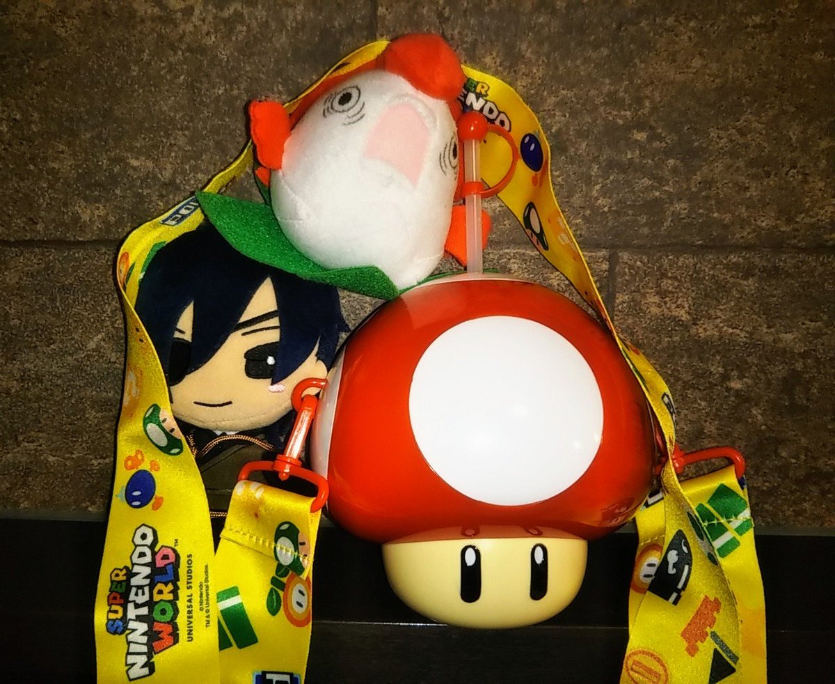 よーちん على تويتر Usjに来た1番の目的は スーパーキノコドリンクホルダーgetの為 めっちゃ可愛いけど 頭を取るとシュールwwジェイドくんにあげたい V 金魚草 鉢にちょうどいい言う 燭台 う ん 頭がないと格好つかない かな T Co