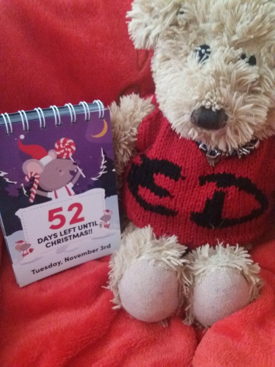 pissedbear's tweet photo. #Christmas good morning guys #Christmascount https://t.co/VwKSmIBtrT