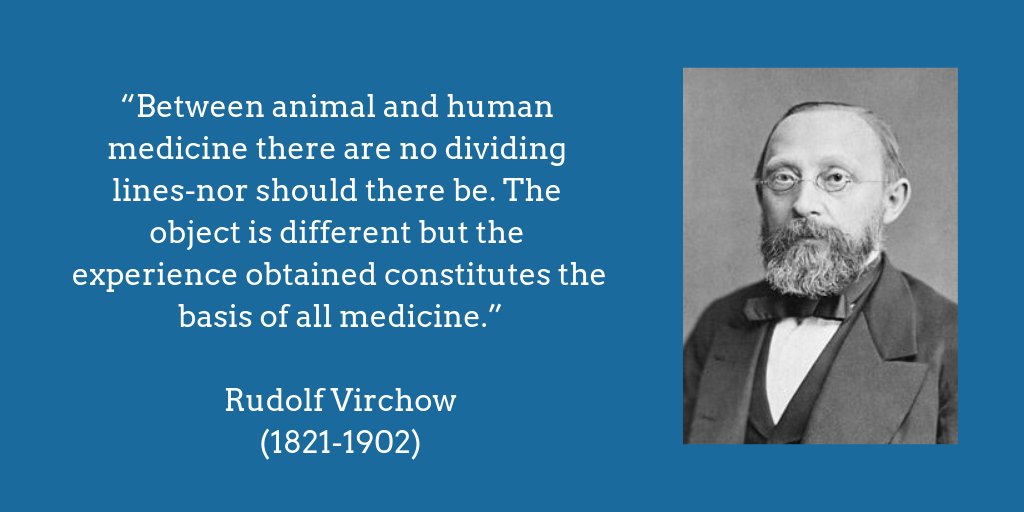 OneHealthEJP's tweet photo. "Between animal and human medicine there are no dividing lines- nor should there be. The object is different but the experience obtained constitutes the basis of all medicine.”- Rudolf Virchow.

#OneHealth #OneHealthDay #WOHC2020 #Health #OneHealth4all https://t.co/1HJkYwPFpX