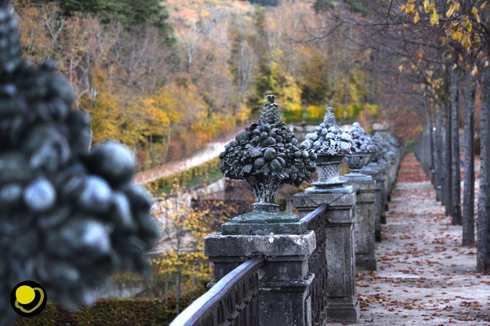Segoviabuenplan's tweet photo. ¡Mira qué bonita! Es una de las barandillas en el Palacio Real de La Granja. ¿Te habías fijado alguna vez que todos los jarrones son distintos? Es una maravilla. Y más si va acompañada de los colores del otoño. https://t.co/X3hQSVJrWN https://t.co/Dj8oheT7ZR
