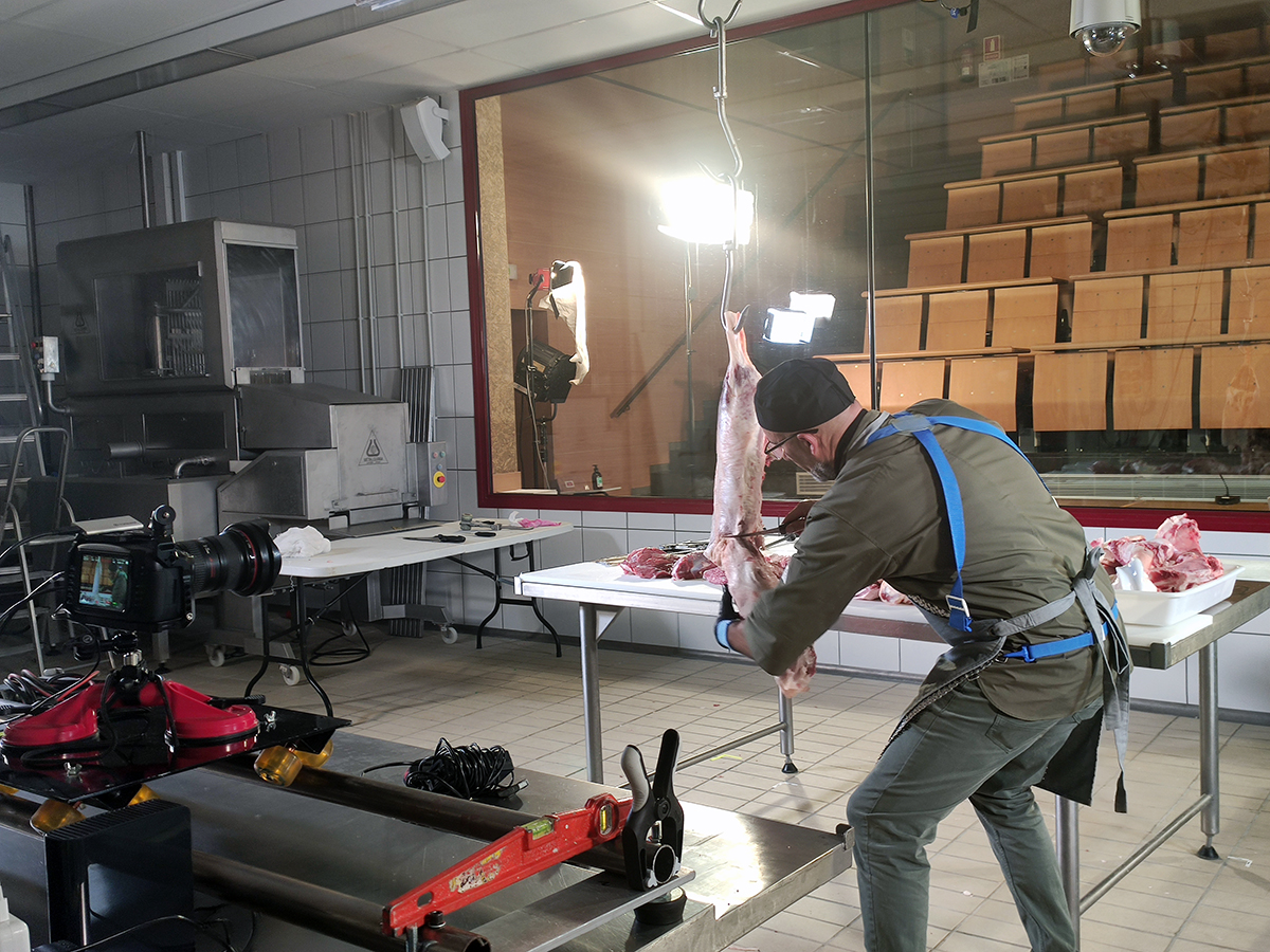 irtacat's tweet photo. A l'IRTA de Monells estem preparant un vídeo formatiu per conèixer com desfer una canal de #vedella comparant la manera francesa amb la catalana.

Així, ampliem la formació dels carnissers i podem identificar noves tècniques d'especejament, en el marc del projecte #DIETAPYR2 https://t.co/Jncn6WOVKh