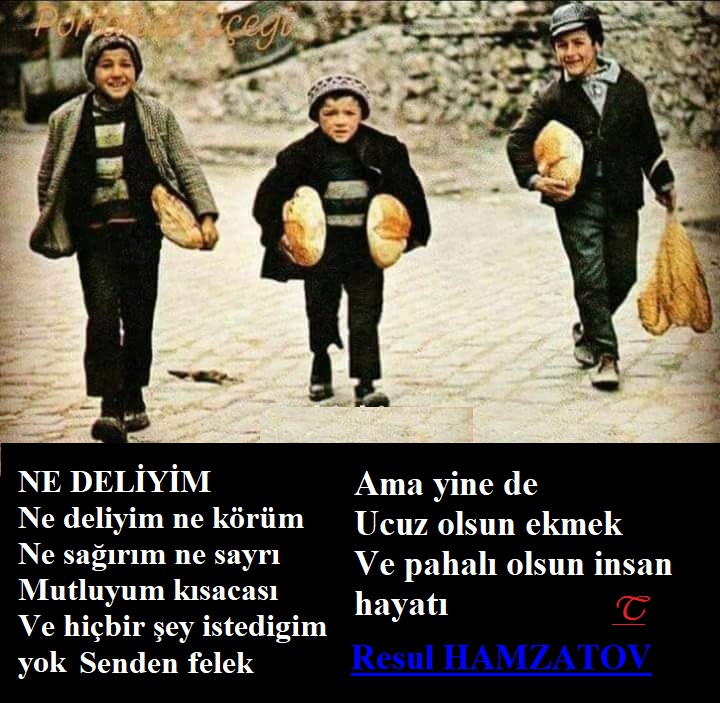 Talip Ünsaldı (@tunsaldi) on Twitter photo 