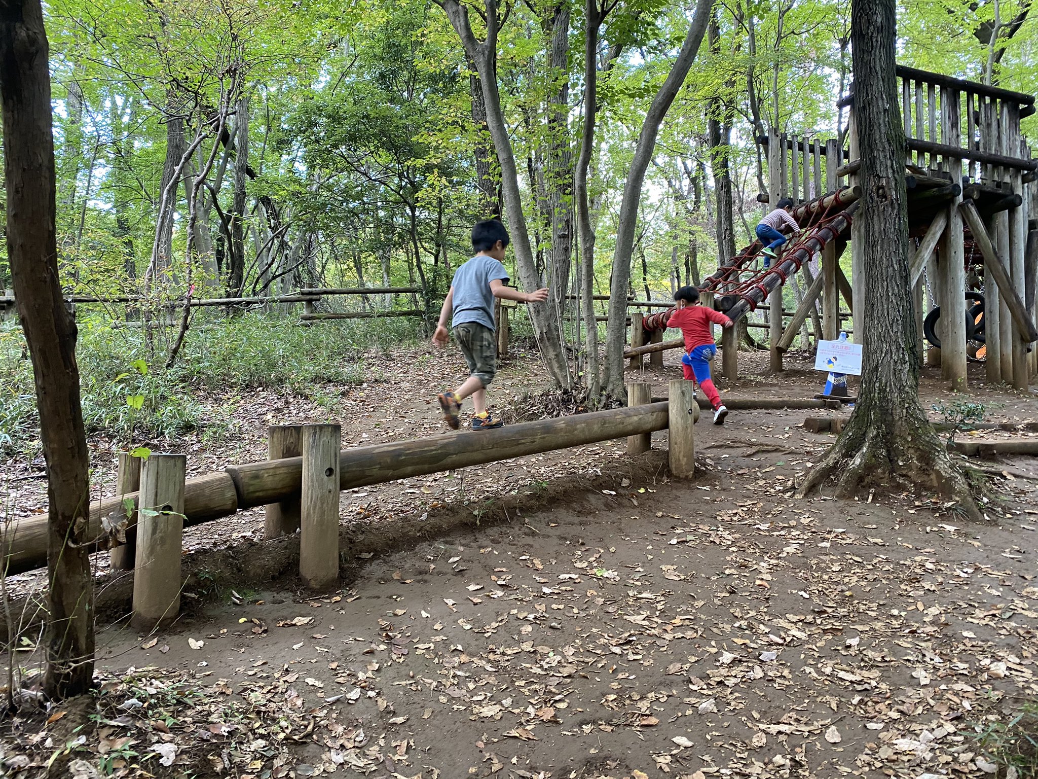 ジロー 都会で自然子育て 野山北 六道山公園 武蔵村山市 に行ってきました この公園すごい 小山あり 小川あり 田んぼありで公園というより里山でした また 森の中でアスレチックも楽しめる場所です とにかくデカくて2日連続で行きましたw