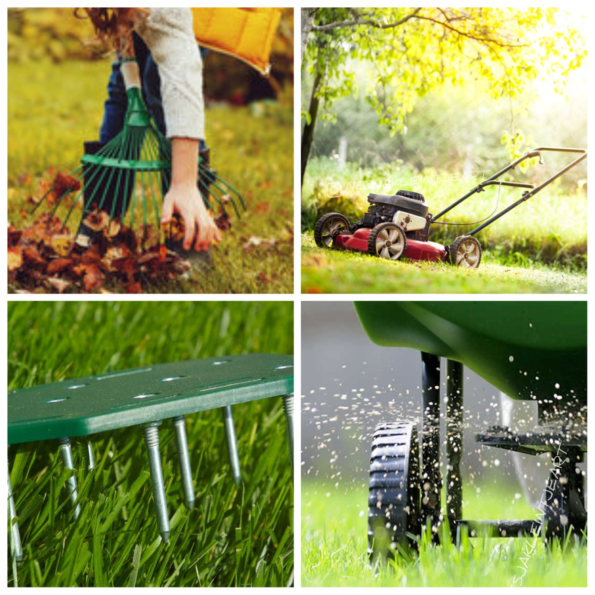 uw gazon winterklaar te maken!

Blad verwijderen, 1x keer p/w. 

Gras maaien, in de wintermaanden +/- 4 centimeter hoog.

Gazon beluchten, in vroege najaar.

Kalk strooien, in de koudste maanden (jan+feb) 

Loop tijdens vorst niet te veel over het gazon. 

Laat sneeuw liggen!