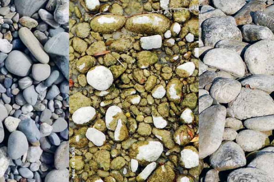 lebendigethur's tweet photo. Geschiebe ist ein natürlicher und äusserst wichtiger Bestandteil der Fliessgewässer. Es prägt den Lebensraum Fluss und bildet nebst sauberem, frei fliessendem Wasser die Lebensgrundlage intakter Gewässer🌿🐟 https://t.co/hI2iwrNy7M
#lebendigethur #thur #revitalisierung #geschiebe https://t.co/hEy0Iiwkea