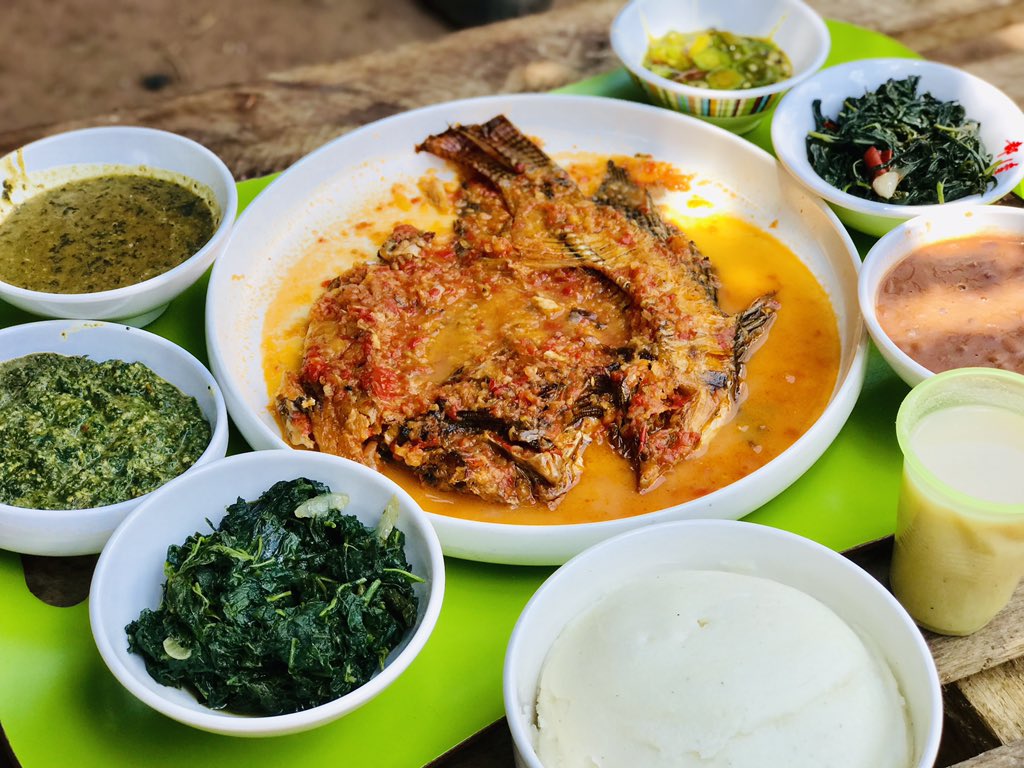 vipheko's tweet photo. Nshima with Dry Boiled Luangwa Fish.
Veggies Galore:
#Lumanda #Okra #Kalembula #Bondwe #PumpkinLeaves #Beans
Na #Munkoyo
Served for 65 Kwacha
#Vipheko #WeGotYouCovered
9 Chindo Rd, Lusaka
097 7980279
https://t.co/2X79XpSm5J https://t.co/NYzNAJFiE4