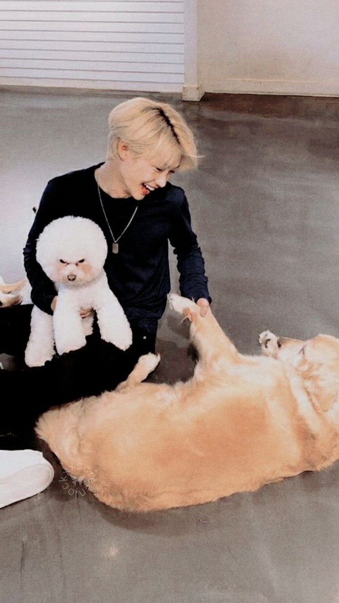 — felix as a hollywood actor; a necessary thread  #StrayKids  #skz