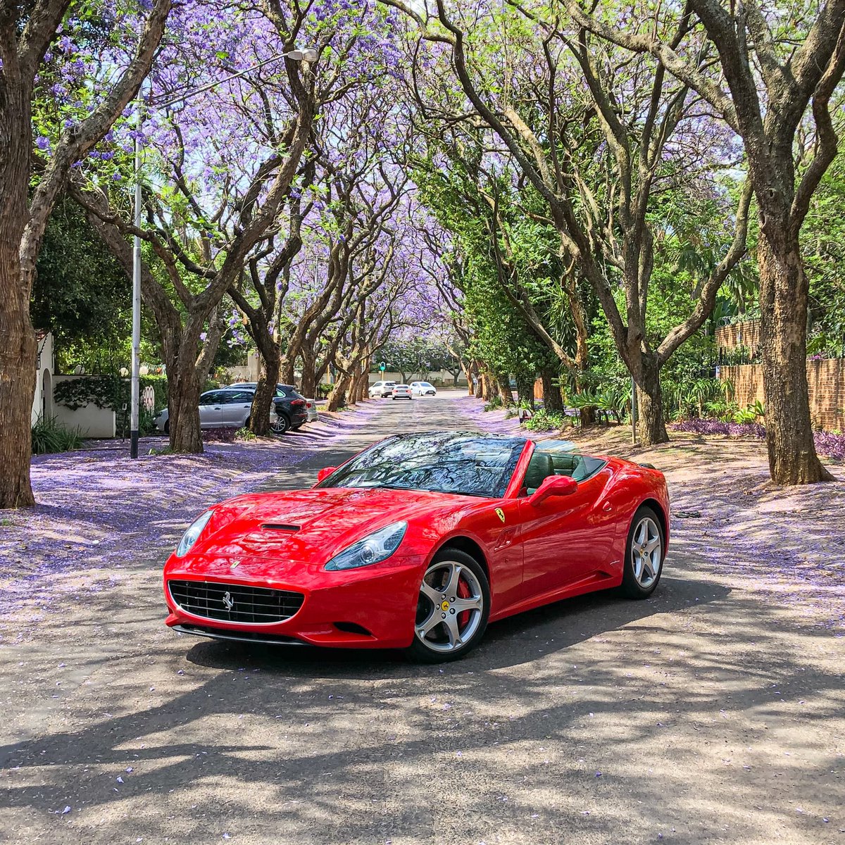 Supercars Of SA tweet media