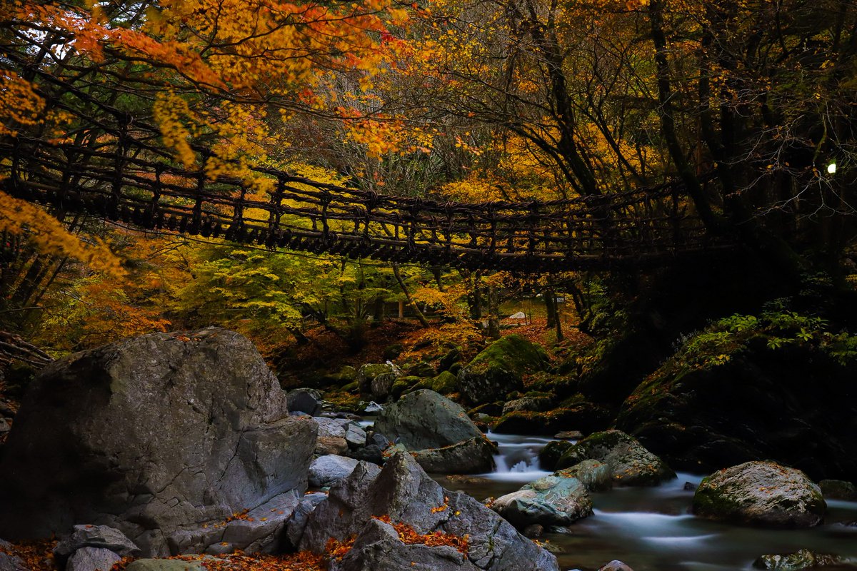 さとみん 徳島県の秘境 奥祖谷かずら橋 紅葉に染まった渓谷はとても美しかった