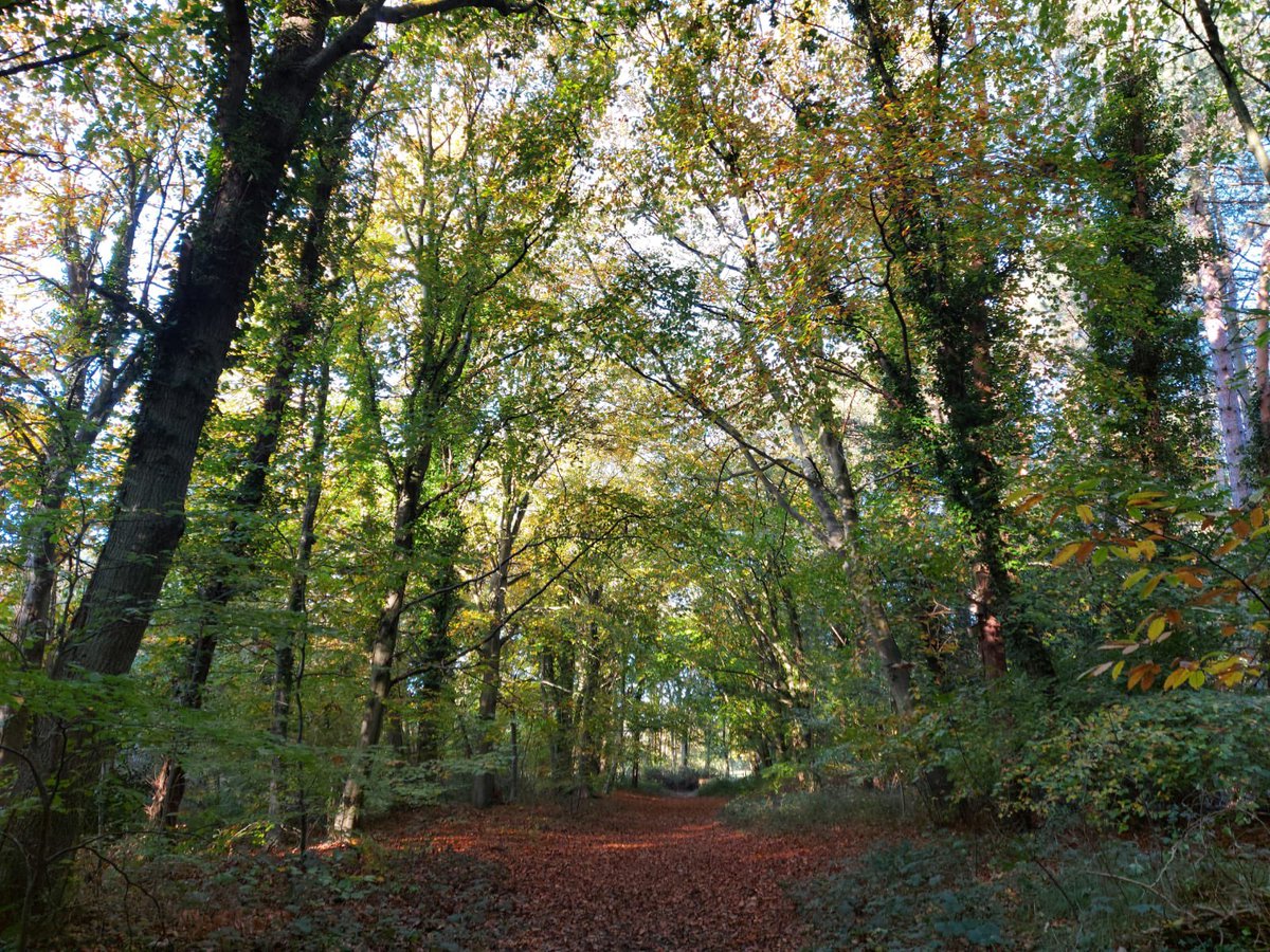CountryHolt's tweet photo. Thank you to all of you who took the time to enter our photography comp in Oct, we will announce a winner by the end of the wk. The competition continues in November with our new theme - AUTUMN. #hcpphotocomp @NorthNorfolkDC @vstnorthnorfolk Ts & Cs - https://t.co/zMJhrTCJlb https://t.co/1kWFBVdjzC