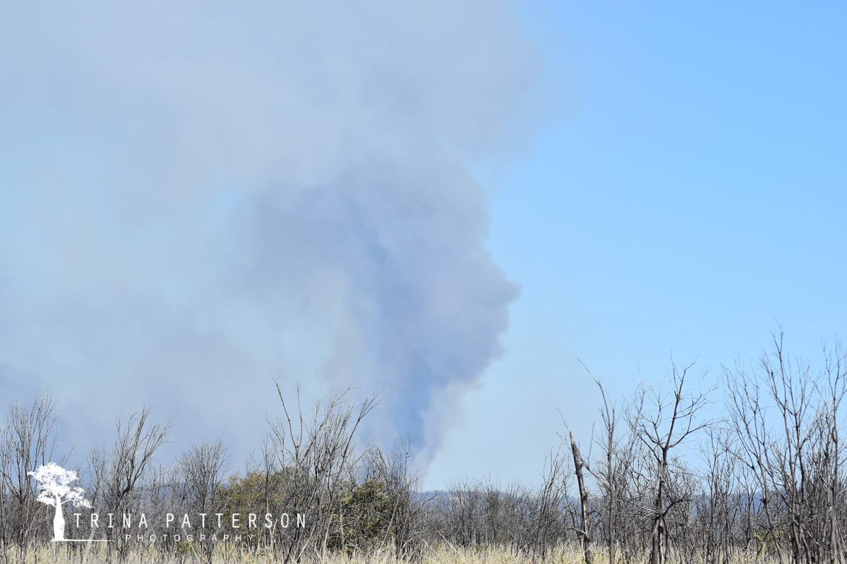 BottleTreeDowns's tweet photo. Smoke spirit of the Kongabula range. Lightning strike bushfire. Rolleston, Central Qld. https://t.co/Lg0c36ZlwA