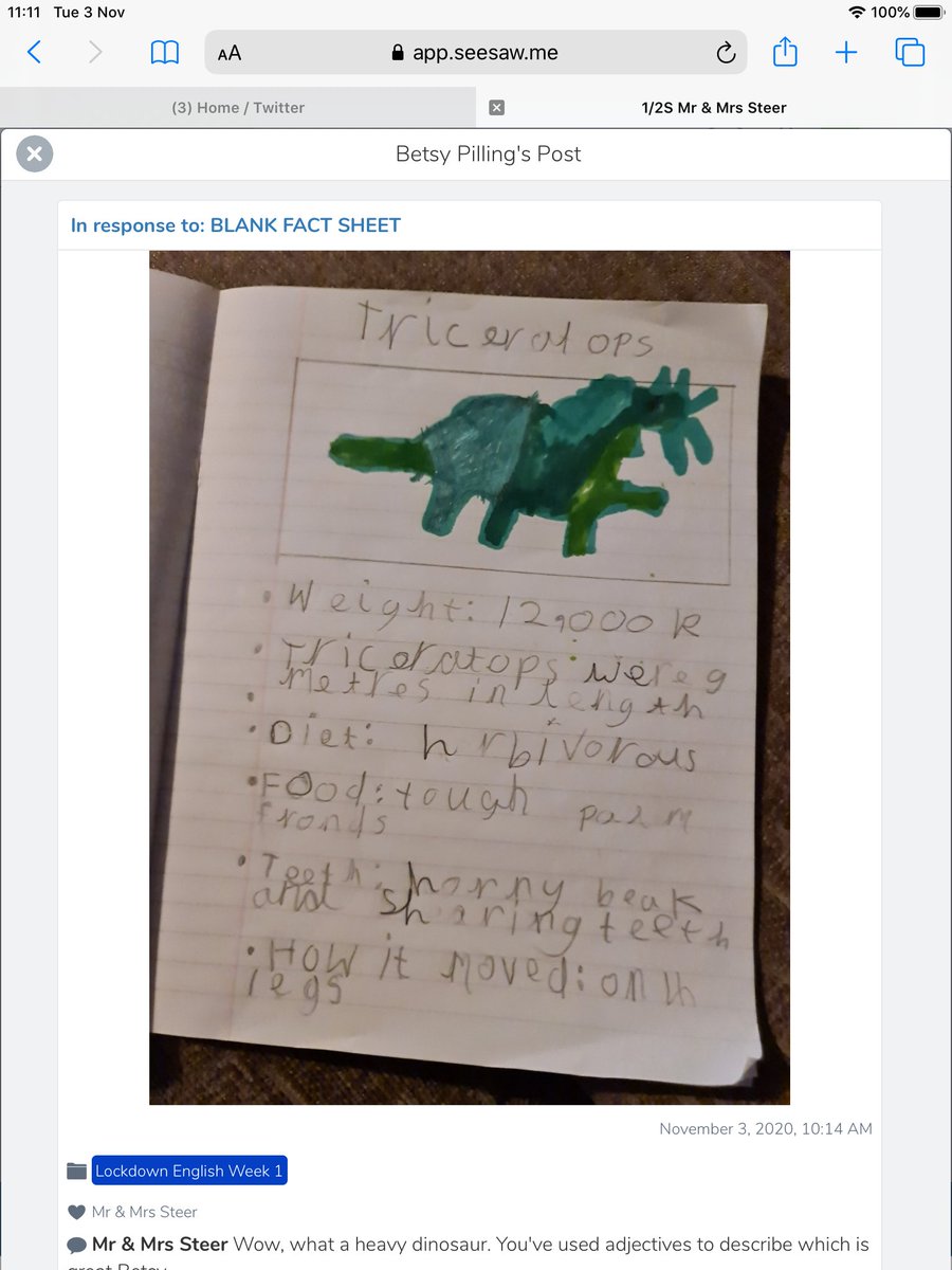 1/2S are busy creating factfiles about a Triceratops. Here are a few that have been sent in this am. Super effort guys.