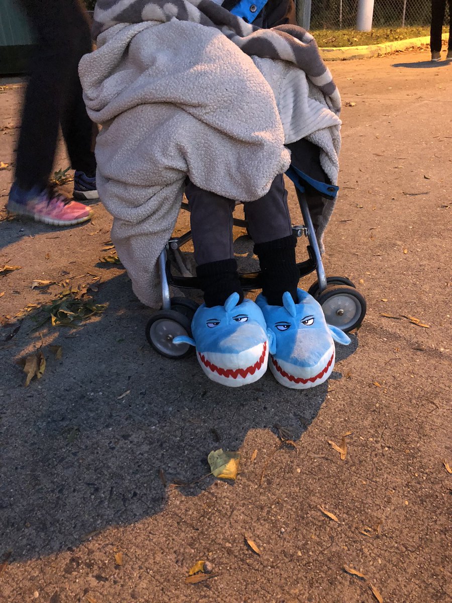 Shark the vote! It’s early and lines are long, but we’re voting! #2020Elections <a href="/SharksNearMe/">Sharks Near Me</a>