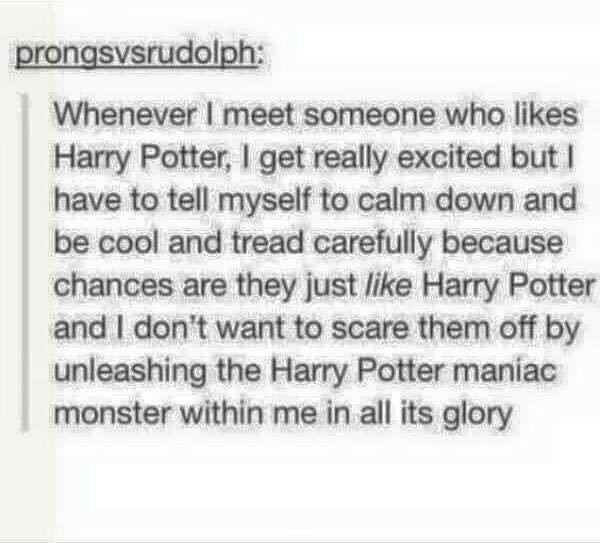 PotterWorldUK's tweet photo. This is a real thing. https://t.co/qztdPSyE2C