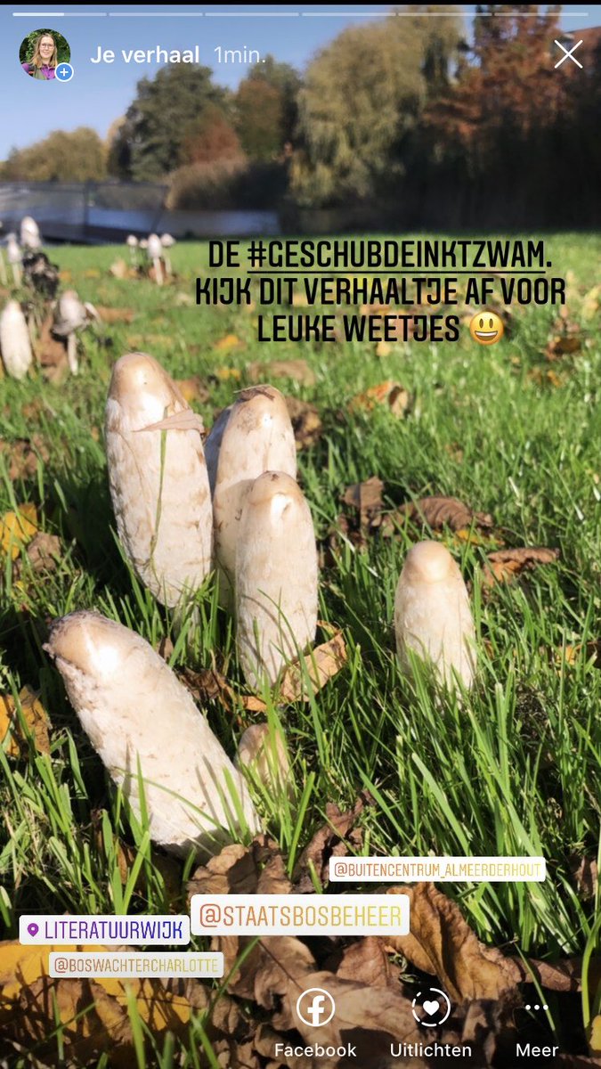 BAlmekinders's tweet photo. Met de #geschubde #inktzwam kun je eens kijken 👀 of je een aantal woorden kunt schrijven ✍️ #outdoorlearnig #parkranger #almere #staatsbosbeheer. @staatsbosbeheer @BAlmekinders @annekeflowers @NatuurWijs https://t.co/FlRHssaVuq