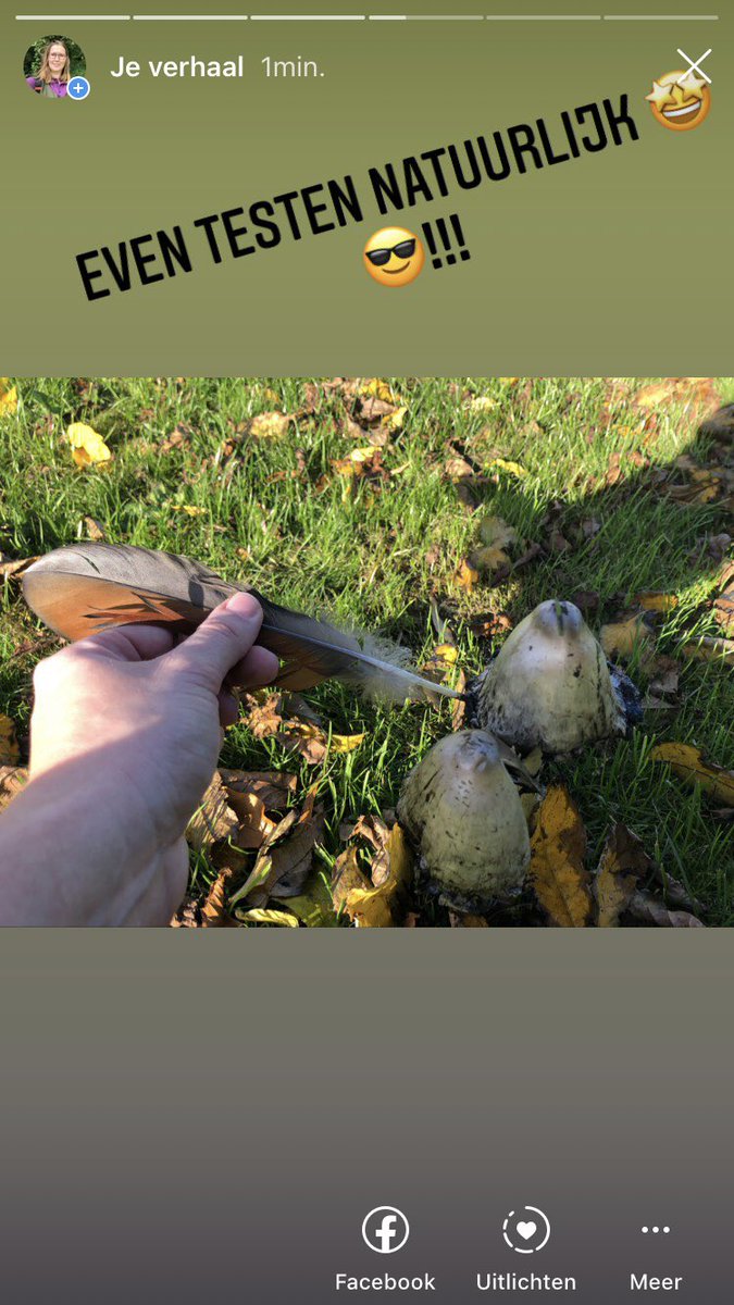 BAlmekinders's tweet photo. Met de #geschubde #inktzwam kun je eens kijken 👀 of je een aantal woorden kunt schrijven ✍️ #outdoorlearnig #parkranger #almere #staatsbosbeheer. @staatsbosbeheer @BAlmekinders @annekeflowers @NatuurWijs https://t.co/FlRHssaVuq