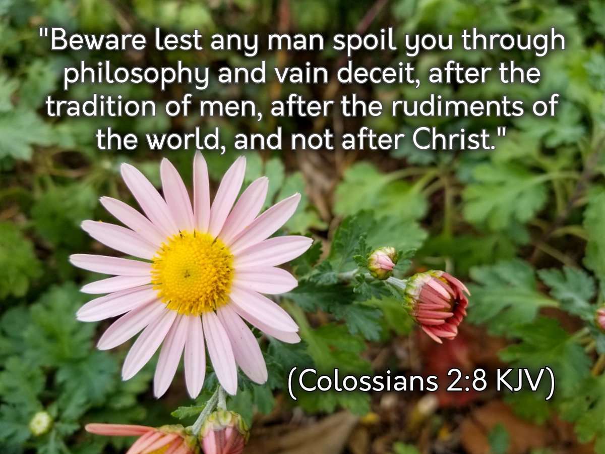 kd8nsa's tweet photo. #InspiredDailyVerses.#GodsWord.#BIBLE.#Ramadan.#Islam.#Allah.#Muslim.#MessageMeForSpiritualHelp.#ChristFollower.#TruthSpeaker.#Prayer.#WWJD.#MakeGodFirst.#KeepGodFirst.#OurPickaway.#OurCircleville.#LifeIsShort.#TodayWillSoonBeGone.#CV19.#Coronavirus.#Covid_19.#Covid-19.#Eternity. https://t.co/8b6n5dstqw