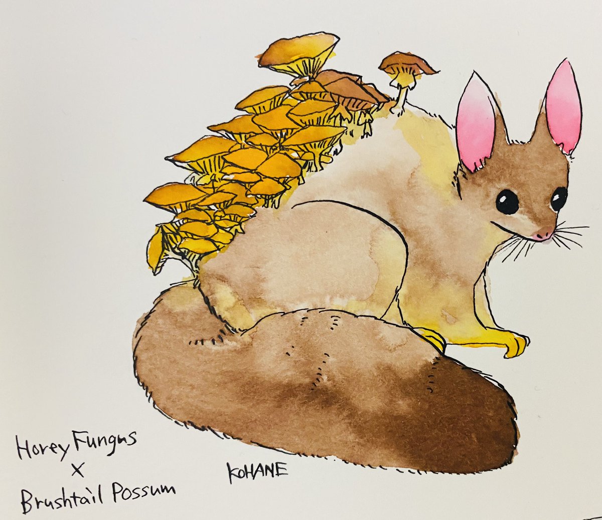 shirogane0x0's tweet photo. DAY11

#drawtober
#inktober
#botanimals https://t.co/OR1f7DoBqa