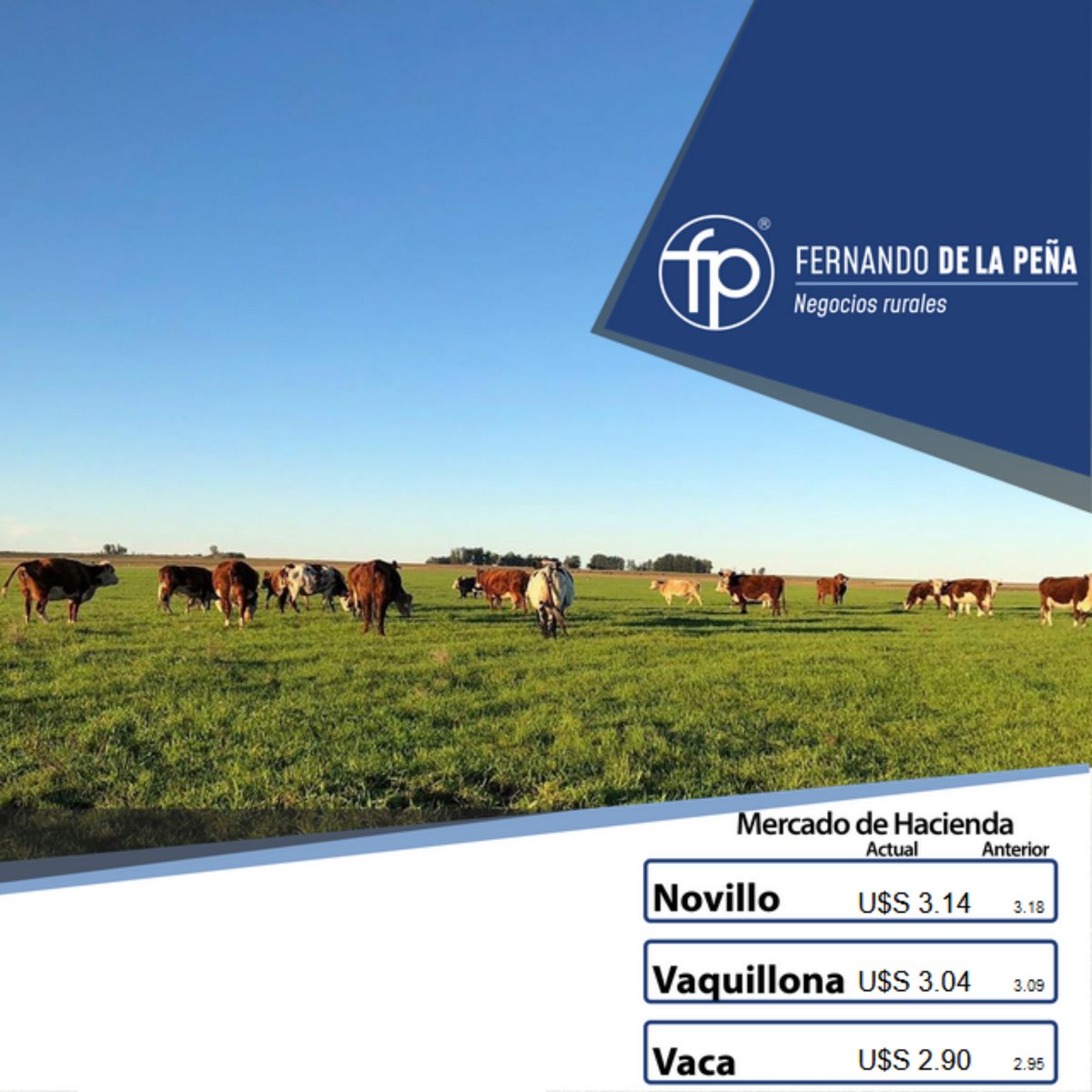 FPNegRurales's tweet photo. Buenos días a todos, continuamos informando los valores del #MercadoDeHacienda y #MercadoDeReposición en 🇺🇾 https://t.co/LtUVbnNsZm