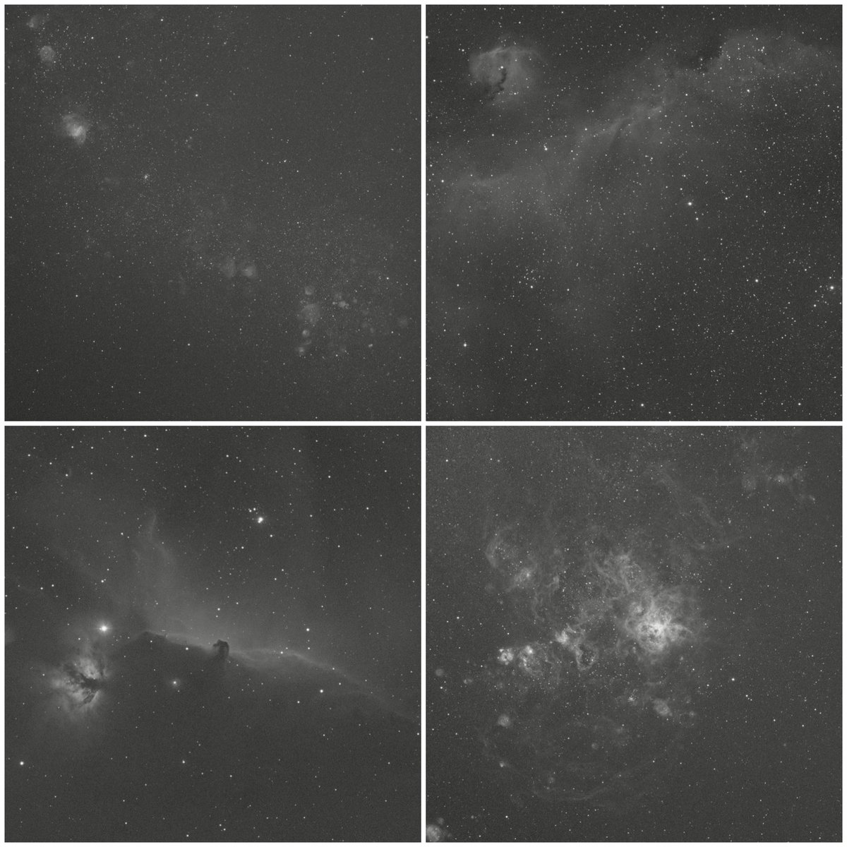 AstroCapetown's tweet photo. Currently got four projects on the go with the RASA 8. Amazing to think that these are just single, that’s right, single 2 min subs. Just imagine what 5 hours of data will look like 🤩 #astrophotography #celestronrasa https://t.co/GQpUcisAm3